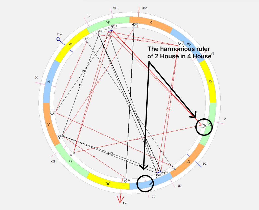 A natal chart of a person